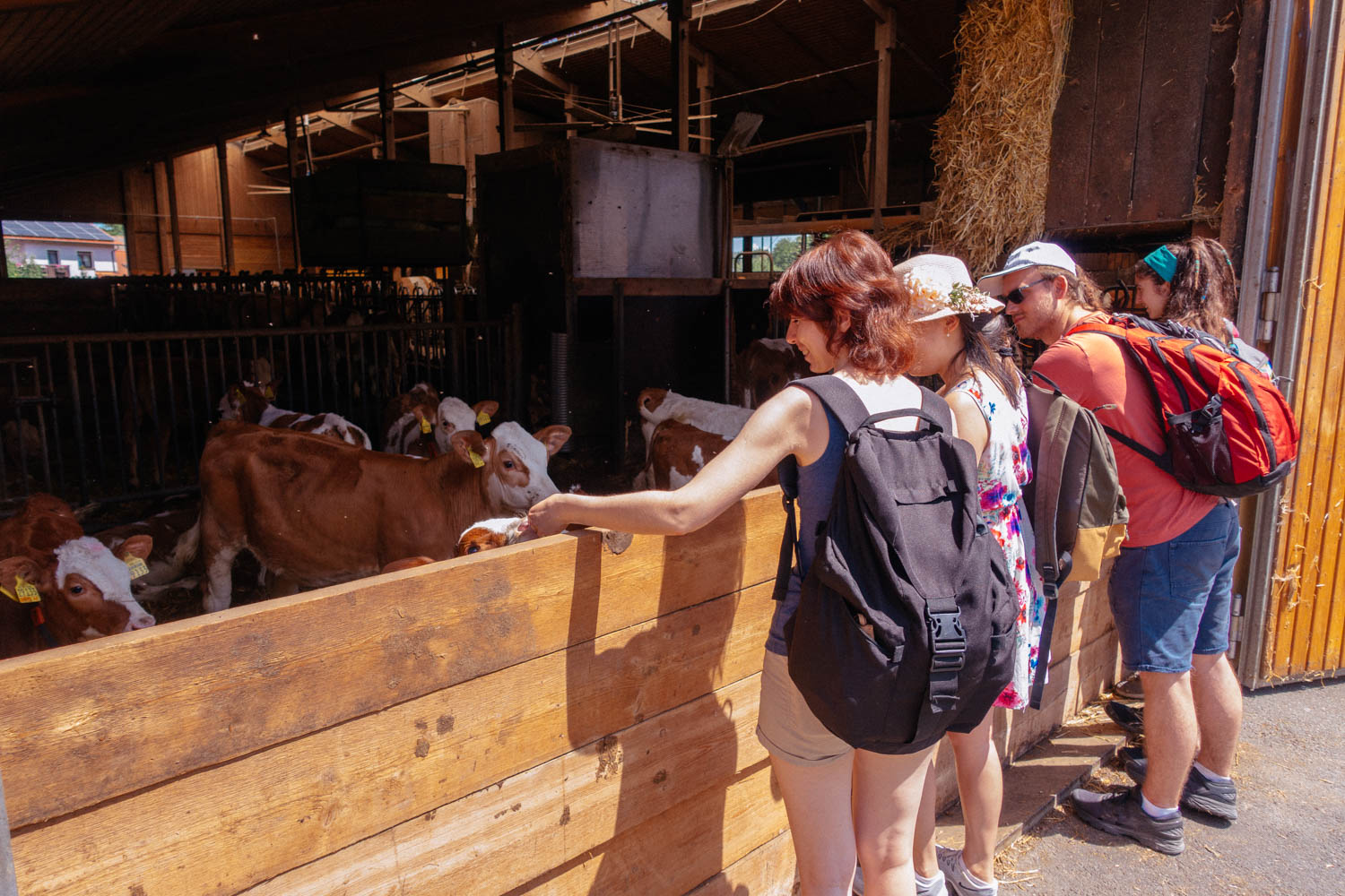 2019-06-02_Kleiner-Kulm-Pegnitz-0095