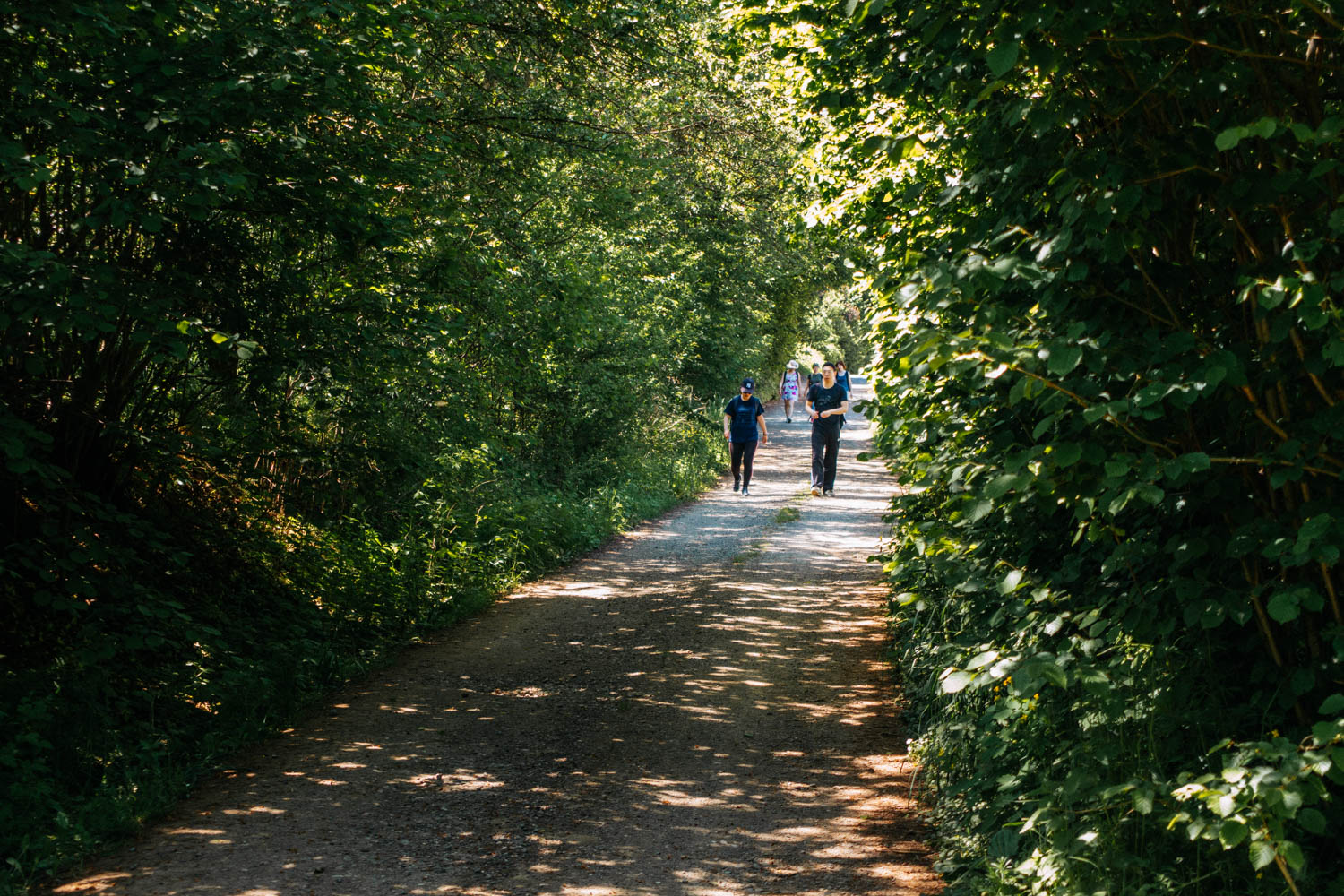 2019-06-02_Kleiner-Kulm-Pegnitz-0111