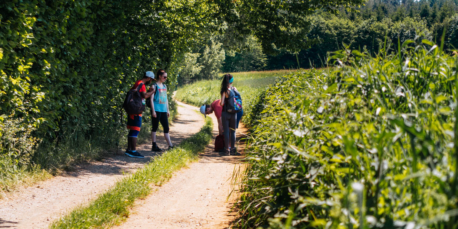 2019-06-02_Kleiner-Kulm-Pegnitz-0121