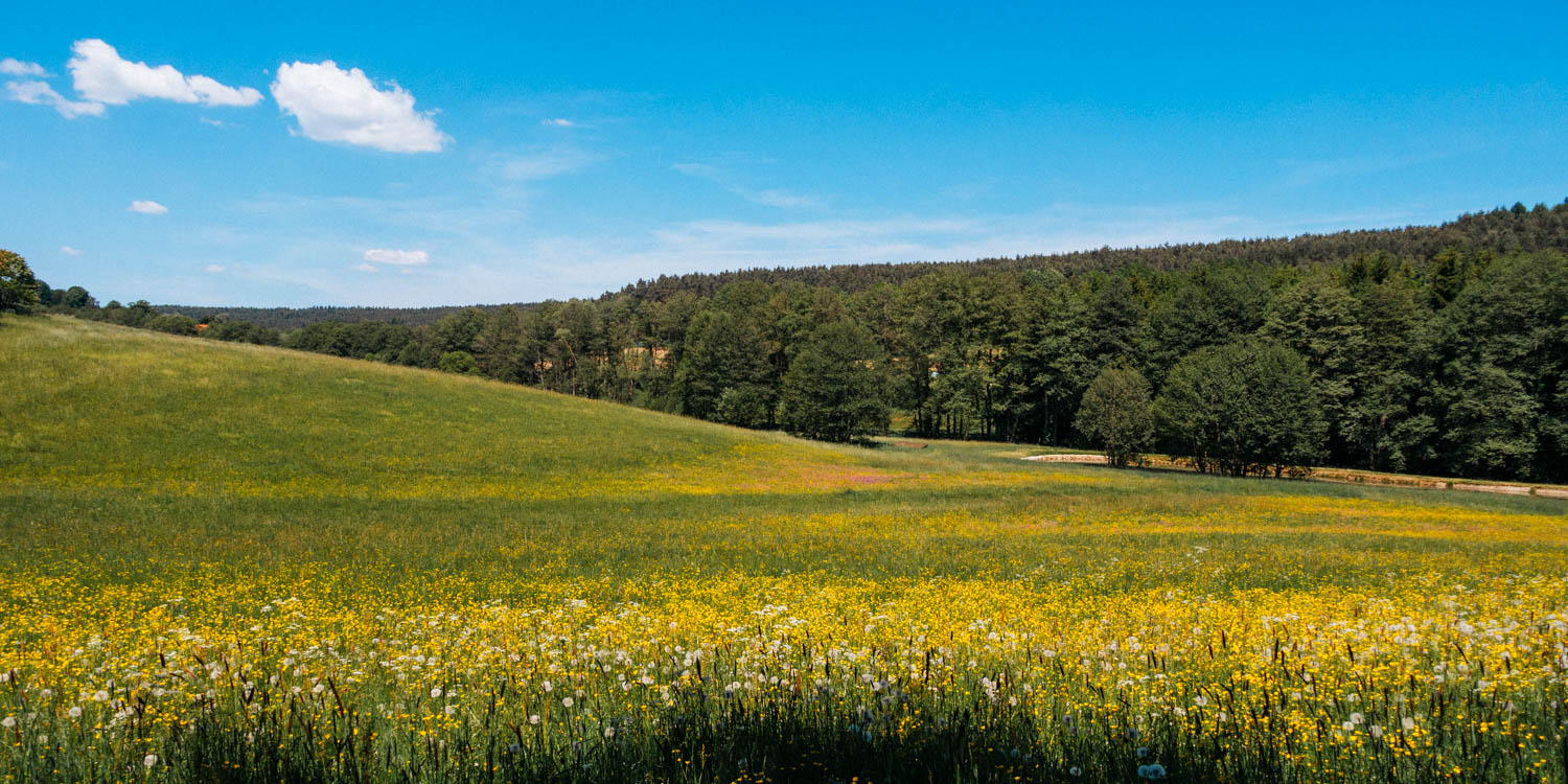 2019-06-02_Kleiner-Kulm-Pegnitz-0147