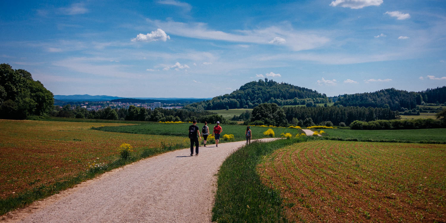2019-06-02_Kleiner-Kulm-Pegnitz-0189