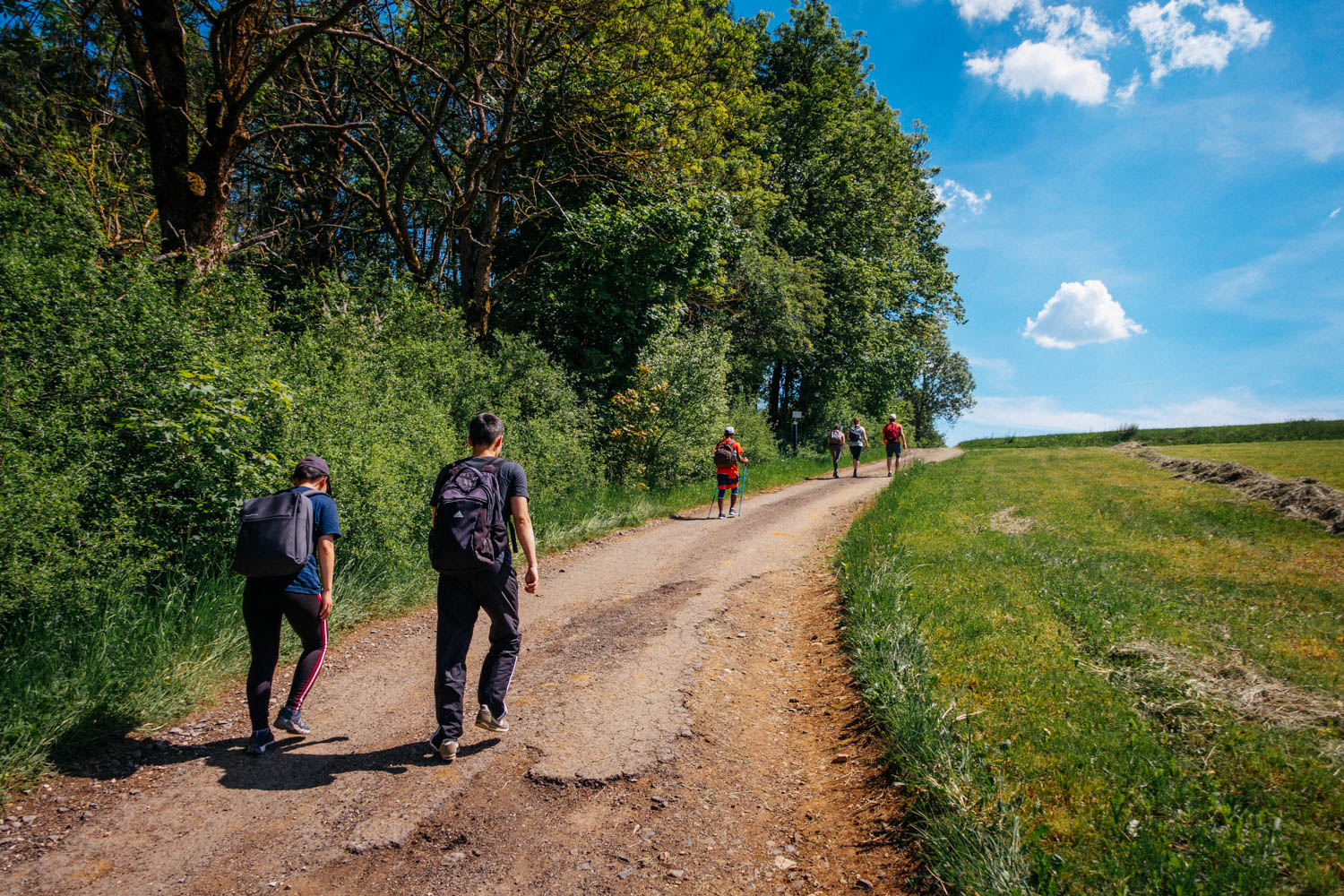 2019-06-02_Kleiner-Kulm-Pegnitz-0192