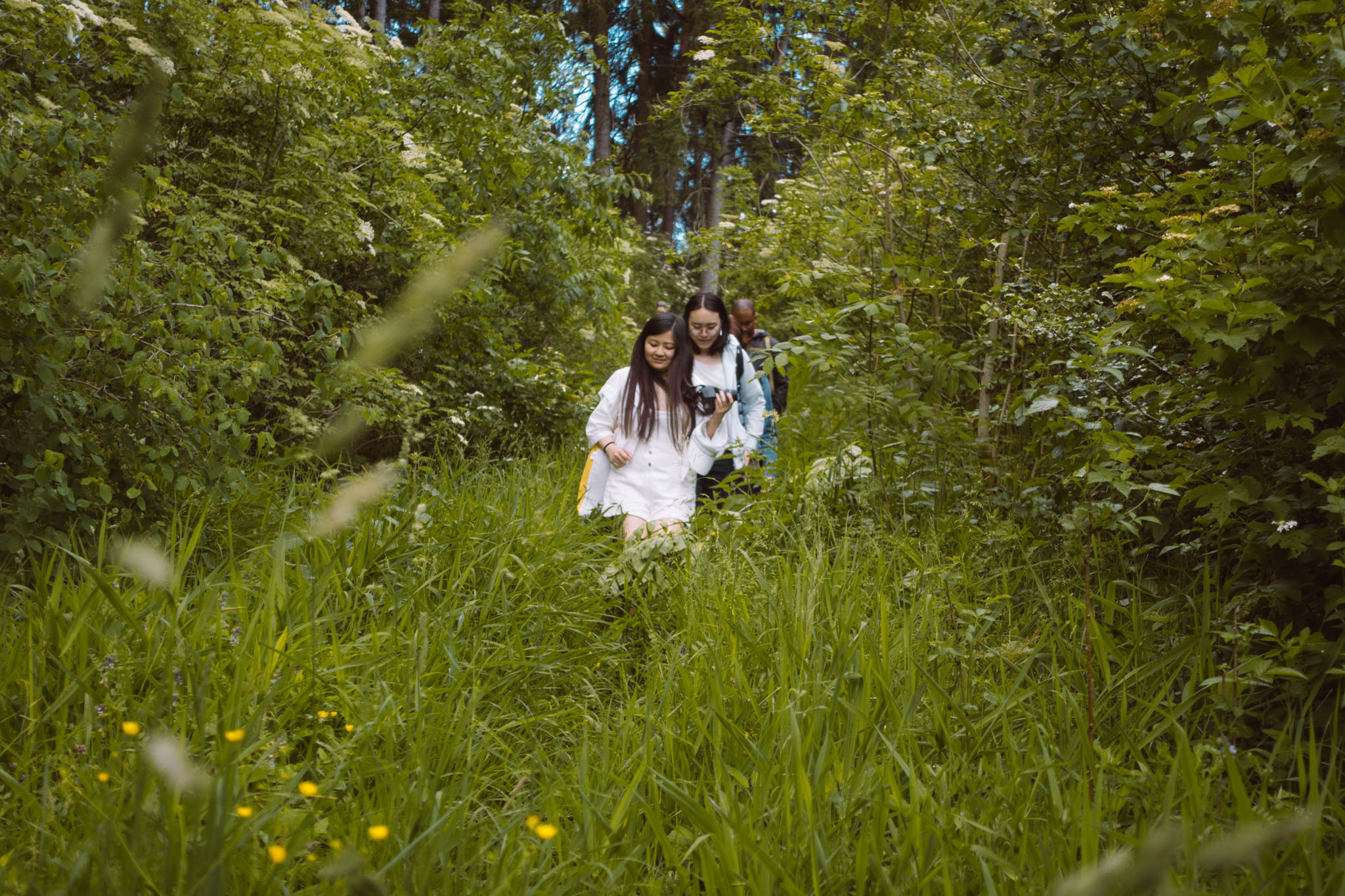 2019-06-08_Pensenberg-19