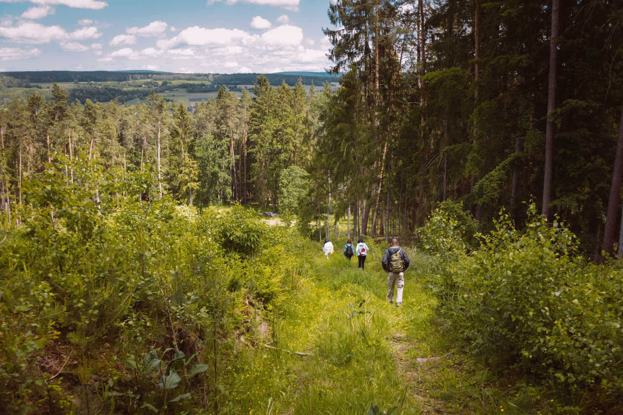 2019-06-08_Pensenberg-20