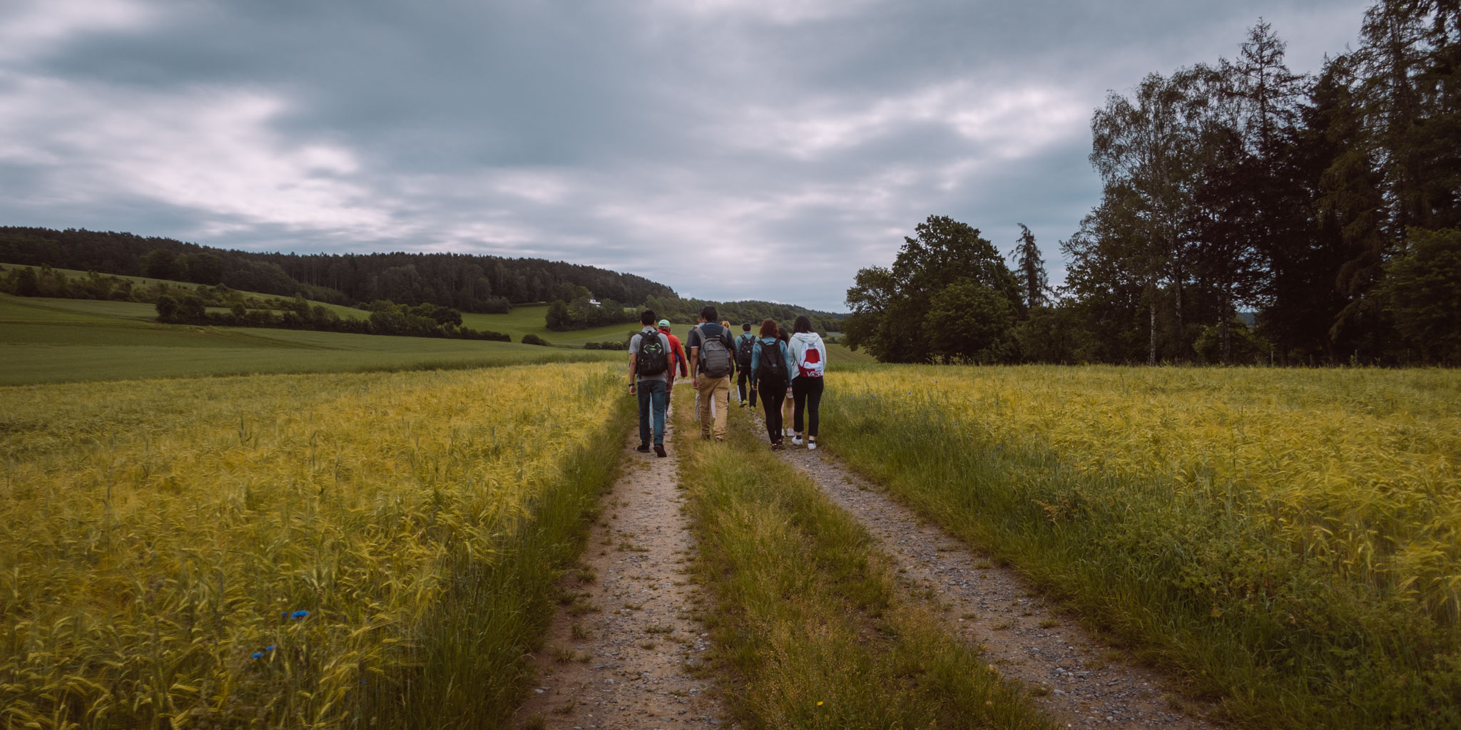 2019-06-08_Pensenberg-3