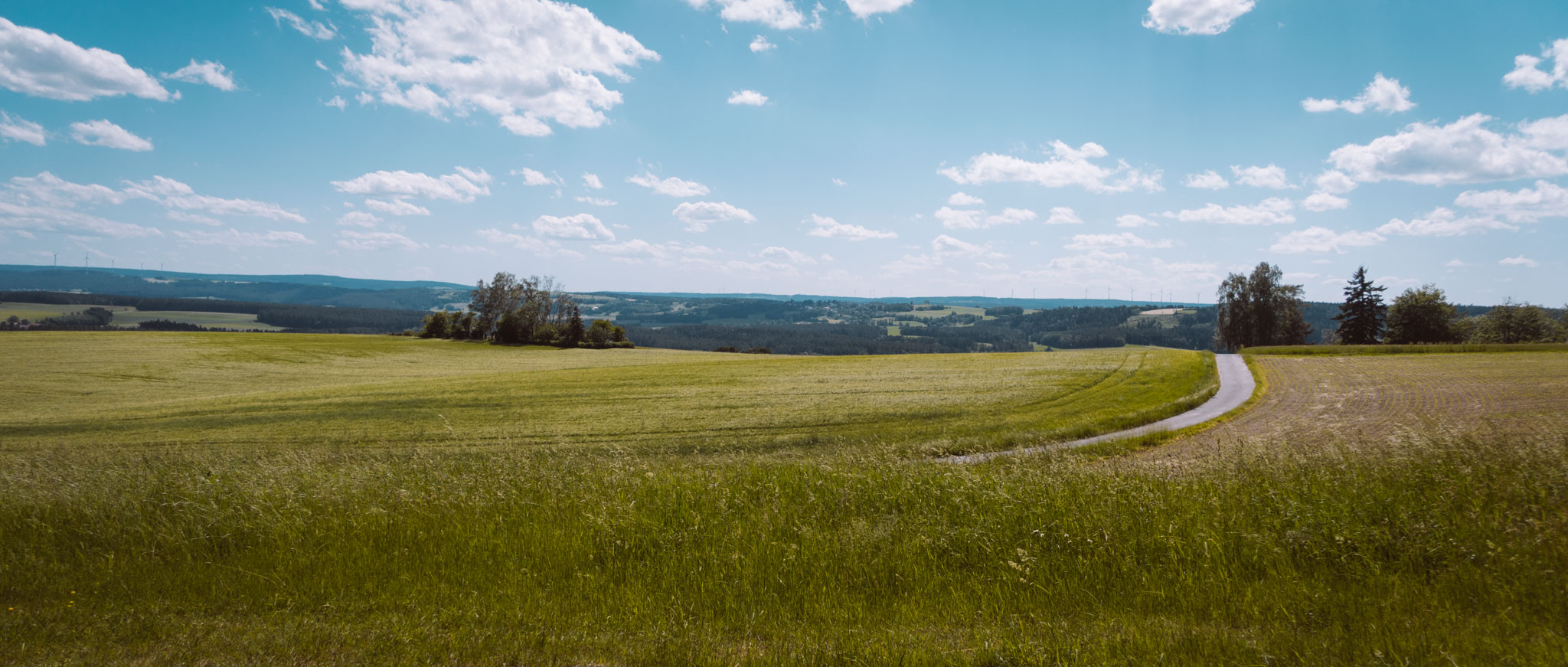 2019-06-08_Pensenberg-46