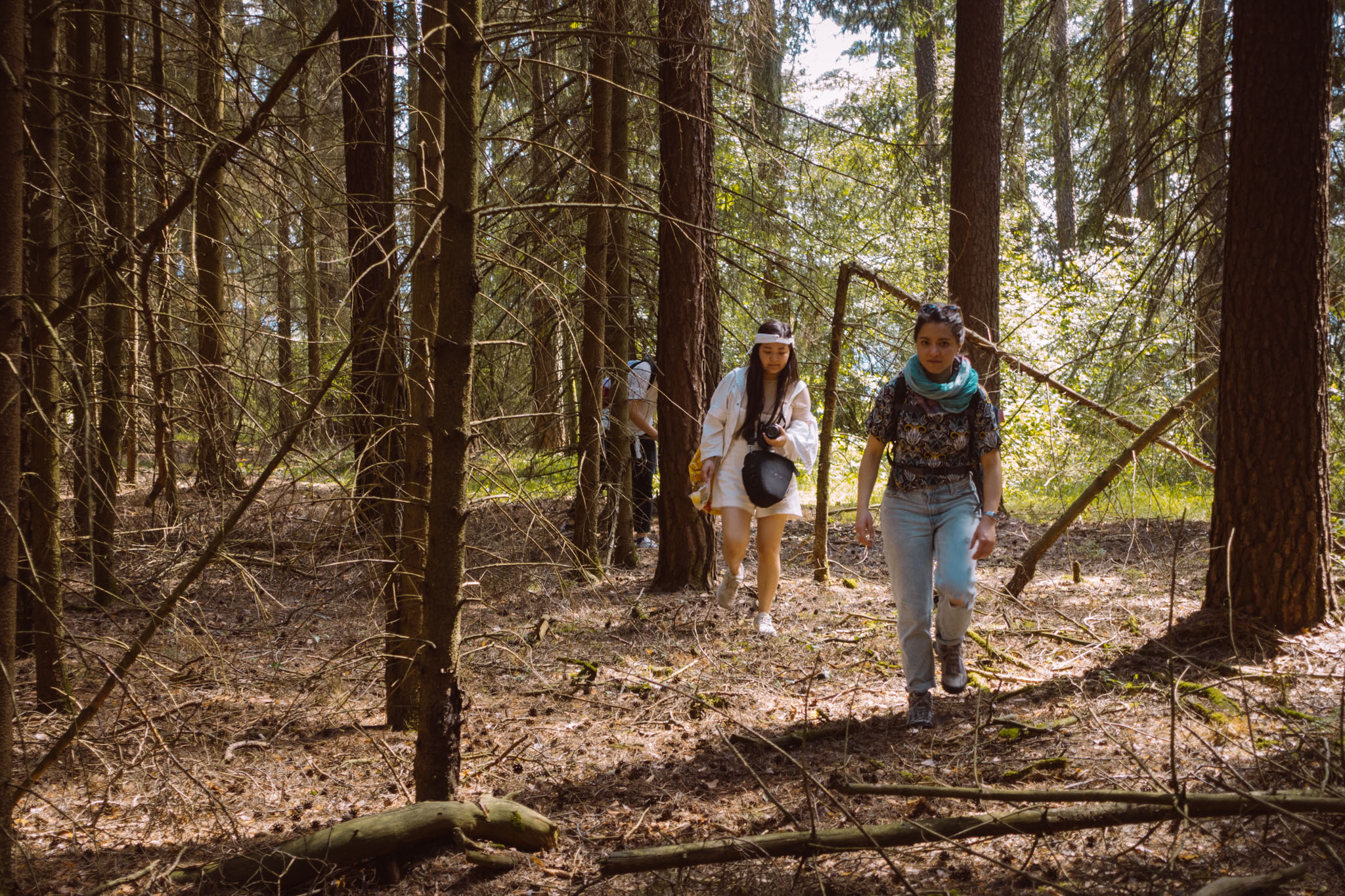 2019-06-08_Pensenberg-49