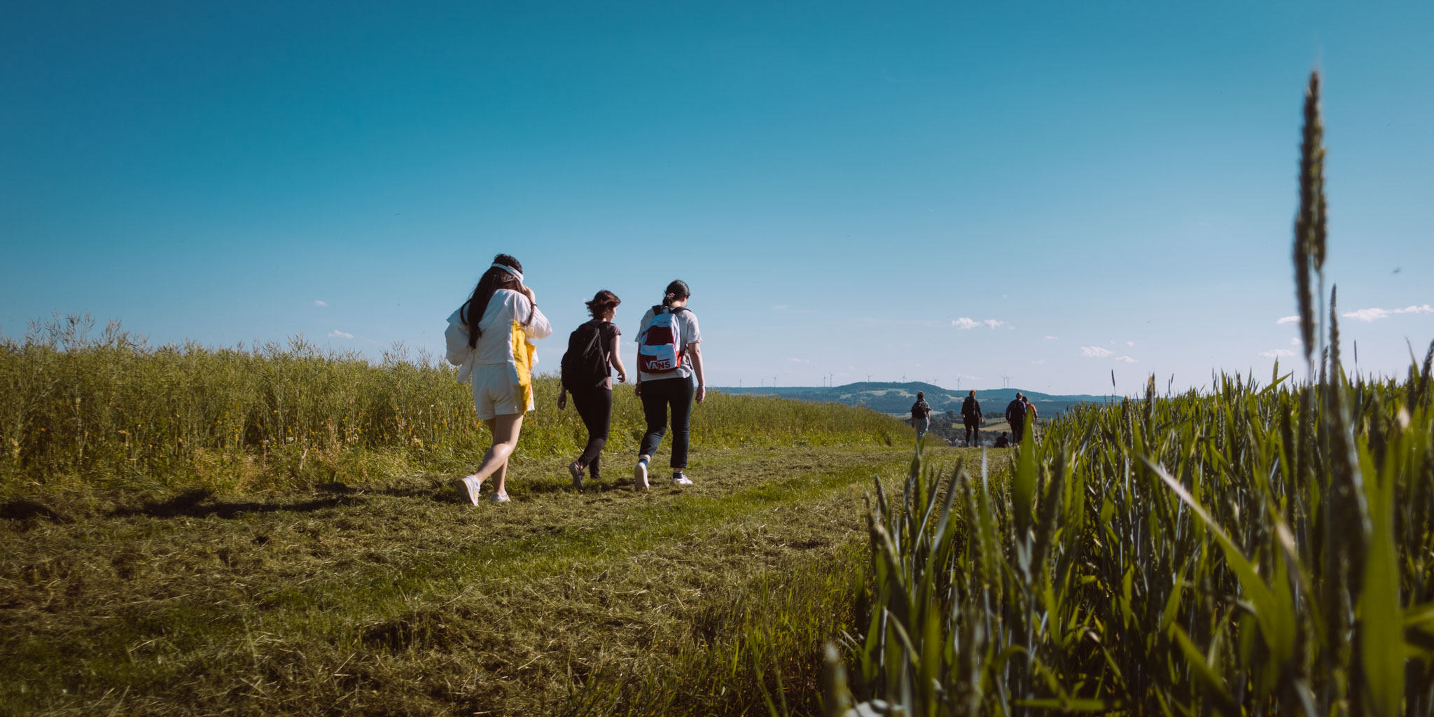2019-06-08_Pensenberg-63
