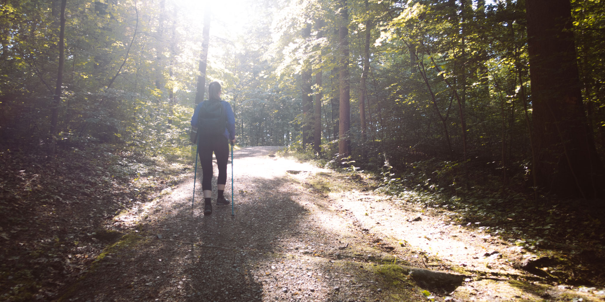 2019-06-08_Pensenberg-68