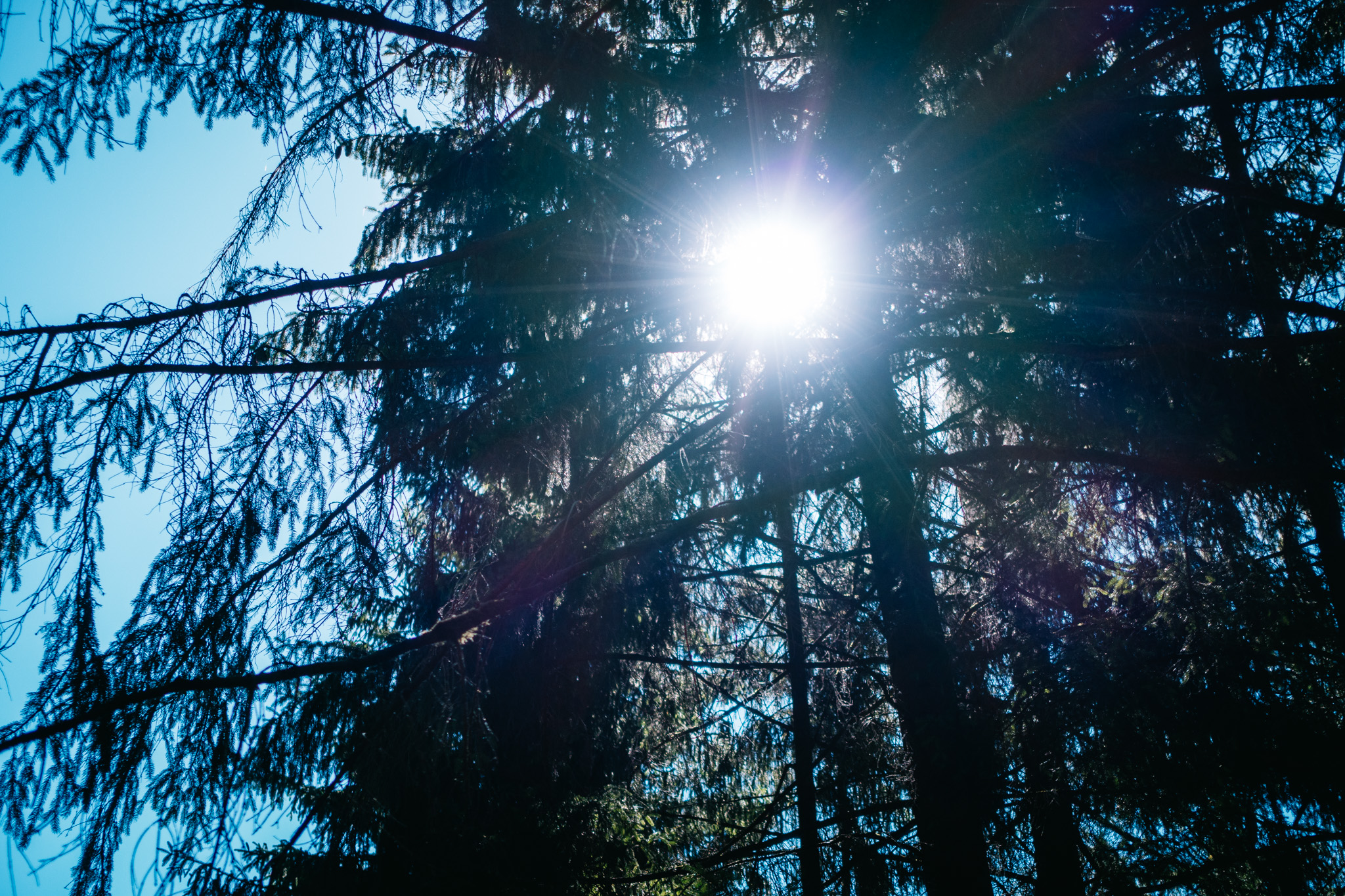 2019-06-29 Trebgast-0032