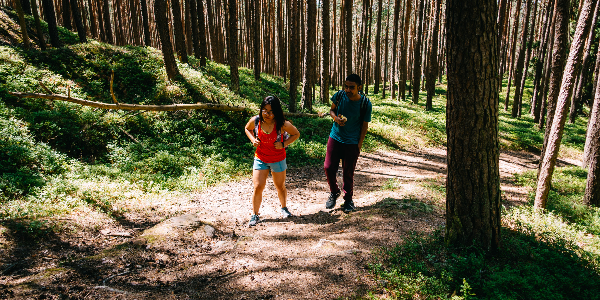2019-06-29 Trebgast-0081