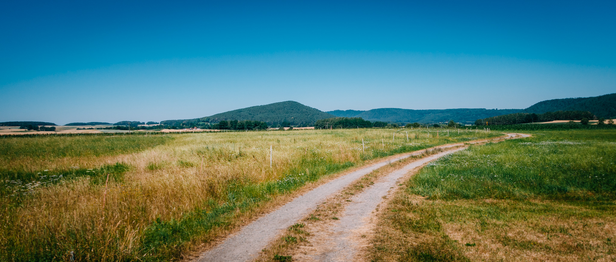 2019-06-29 Trebgast-0142
